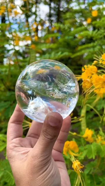 A crystal sphere held in gentle hands,
Captures the sun and distant lands.
Yellow flowers dance outside,
While rainbows sleep deep inside.

Light fractures softly, time stands still,
Nature bends to the crystal’s will.
A world reflected, pure and true,
Where earth, light, and wonder rendezvous.

#crystal #crystalforsale #flower #flowerlover