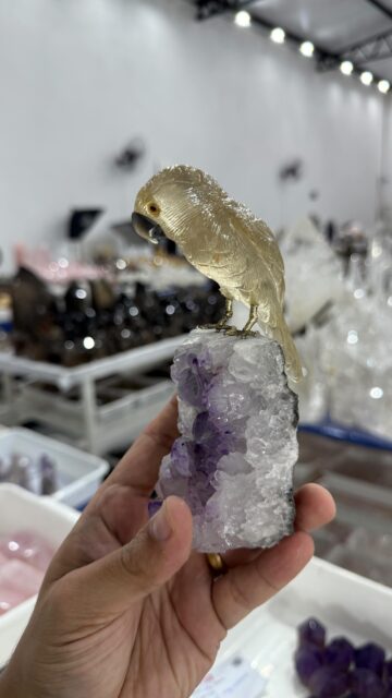 At Exclusive Gems from Brazil, we proudly present an incredible collection of hand-carved crystal pieces.
Each carving is carefully sculpted by skilled artisans, highlighting the natural beauty and energy of every crystal.
Our collection is highly diverse — featuring exceptional quality, a wide variety of crystal types, and many different shapes and forms.
From classic designs to truly unique pieces, every carving tells its own story.
Discover craftsmanship, diversity, and quality — all in one collection.

#cerving #crystalcarving #crystalcarvingsforsale #crystalcarvings