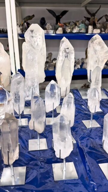 This new Lemurian collection is absolutely stunning!! Every piece comes already set on metal bases, enhancing their beauty even more. But hurry — stock is extremely limited and there’s already a long waiting list!

#lemurians #clearquartz #lemurianquartz #crystal