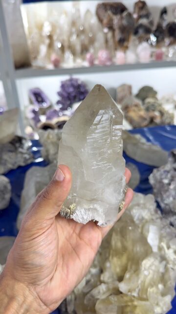 Take a look at this incredible batch of natural Citrine that just arrived at our warehouse! ✨

So many beautiful pieces—and the best part? They’re available individually, so you can choose your favorite.

Don’t wait too long—quantities are very limited, and these pieces won’t last!

#crystal #citrine #naturalcitrine