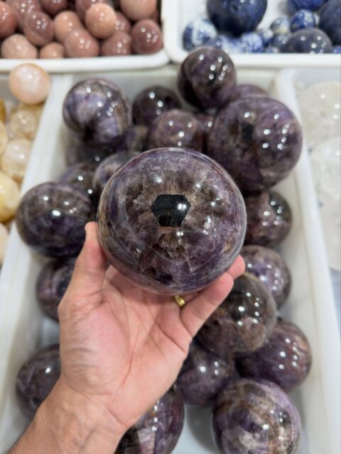 7 crystals. 1 stone. Infinite energy. 🔮✨

Super Seven is not just a crystal — it’s a full team working for you. Here’s what’s inside every single sphere:

🟤 Amethyst — spiritual protection & intuition
🤍 Clear Quartz — amplifies everything around it
💜 Cacoxenite — raises your vibration
🟡 Rutile — connects mind, body & soul
⚫ Goethite — grounds you to the earth
🟠 Lepidocrocite — heals emotional wounds
✨ Smoky Quartz — clears what no longer serves you

Together, they create something the crystal world has never seen before. Sourced directly from Brazil 🇧🇷 — where Super Seven was first discovered.

Save this post & share with someone who needs this energy today. 💫

DM us or shop the link in bio.

#SuperSeven #SuperSevenCrystal #BrazilianCrystals #CrystalHealing