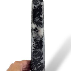 1.48 kg - 31 cm