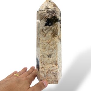 1.90 kg - 23 cm
