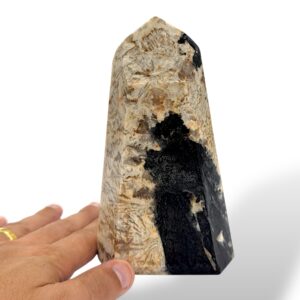 0.91 kg - 23 cm
