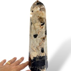 1.60 kg - 26 cm