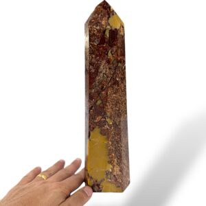 1.13 kg - 28 cm