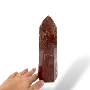 1.03 kg - 21 cm