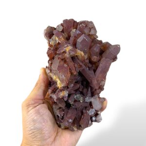 0.88 kg