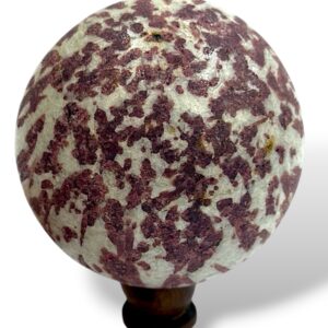 1.18 kg - 29 cm