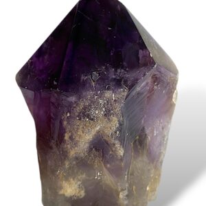 0.81 kg | 12 cm | $121.00