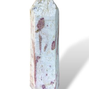 1.17 kg - 19 cm
