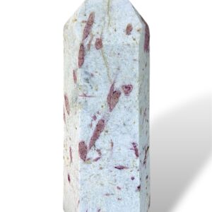 1.34 kg - 18 cm