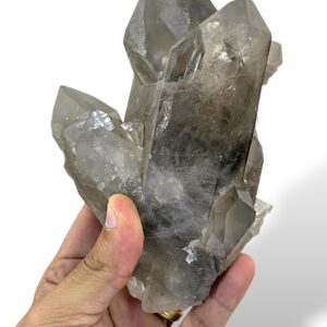 0.77 kg