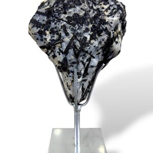 1.42 kg | 21 cm | $113.00