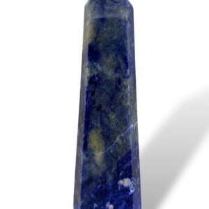 0.34 kg | 17 cm | $22.00