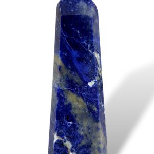 0.56 kg | 19 cm | $36.00