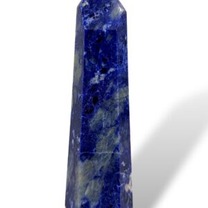 0.44 kg | 17 cm | $28.00