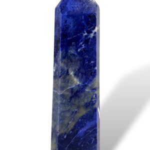 0.49 kg | 18 cm | $31.00