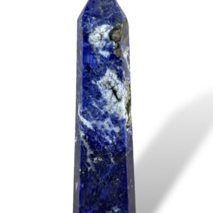 0.40 kg | 16 cm | $26.00