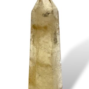 0.55 kg - 17 cm
