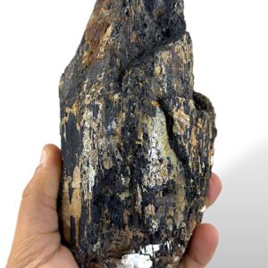 1.12 kg | 56.00 U$